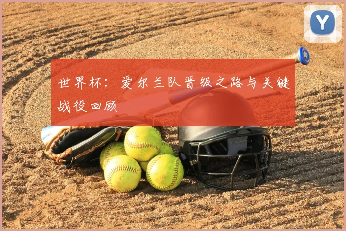世界杯:爱尔兰队晋级之路与关键战役回顾