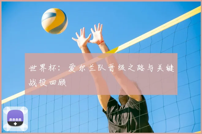 世界杯：爱尔兰队晋级之路与关键战役回顾