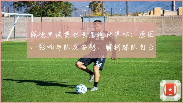 佩德里谈费尔明落选世界杯:原因、影响与队友安慰,解析球队打击